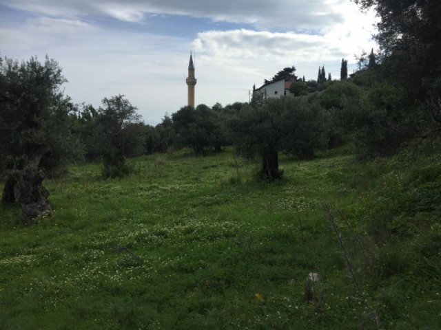 منطقه مسکونی برای فروش in Karşıyaka, گیرنه