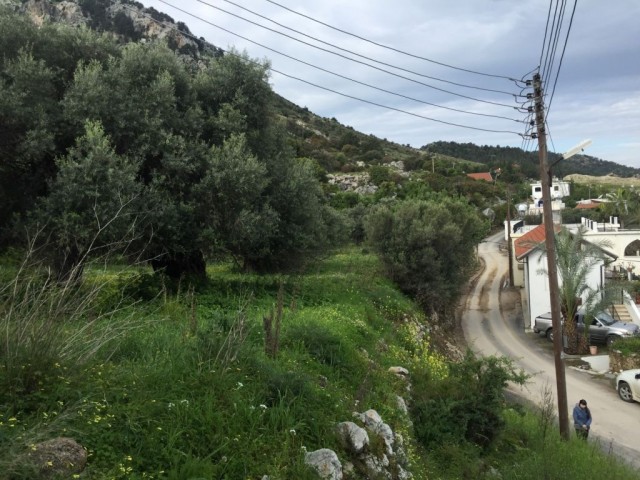 منطقه مسکونی برای فروش in Karşıyaka, گیرنه