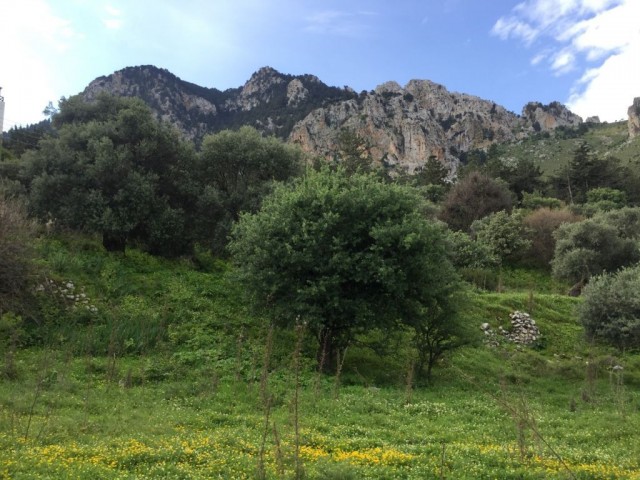 منطقه مسکونی برای فروش in Karşıyaka, گیرنه