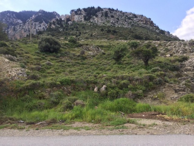 منطقه مسکونی برای فروش in Karşıyaka, گیرنه