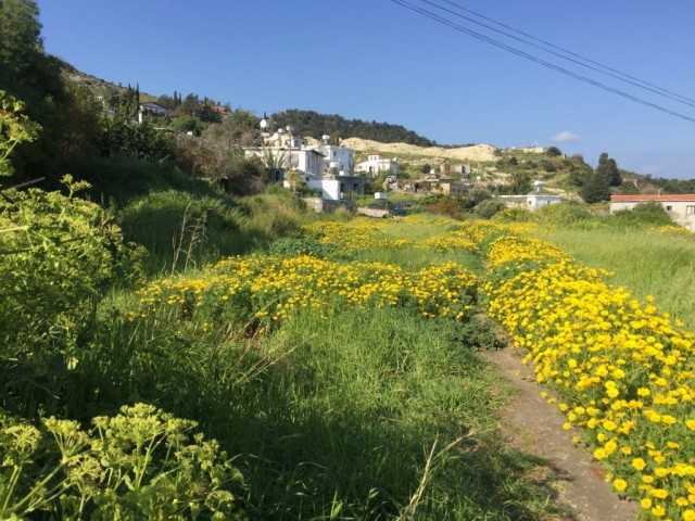 منطقه مسکونی برای فروش in Karşıyaka, گیرنه