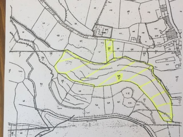 AROUND 5 DONUMS OF LAND FOR APARTMENT BUILDING IN THE PURPLE BELT AREA WILL BE MARKETED AS COMBINATI