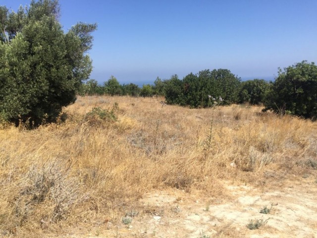 KYRENIA, Kayalar village beautiful 5 Dönüm + 1 evlek ( 7,024 m2 )  PLOT FOR VILLA DEVELOPMENT 