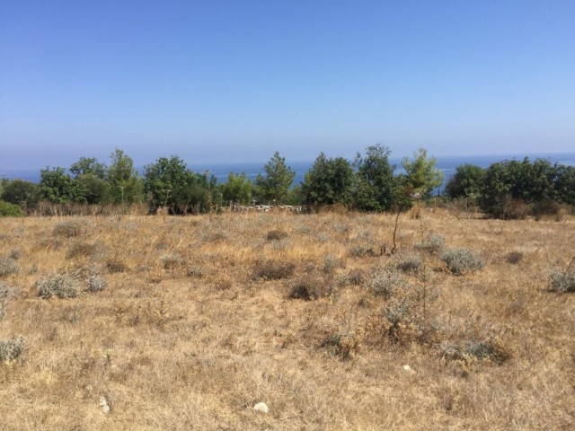 KYRENIA, Kayalar village beautiful 5 Dönüm + 1 evlek ( 7,024 m2 )  PLOT FOR VILLA DEVELOPMENT 