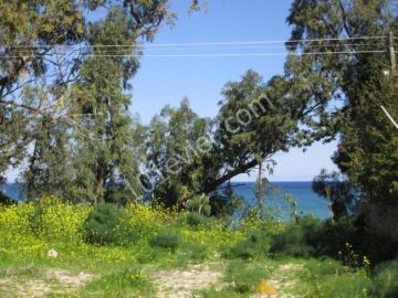 Villa For Sale in Lapta, Kyrenia