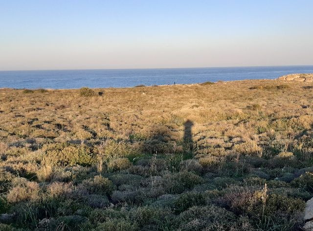 GİRNE,KARŞIYAKA'da denize SIFIR 19.5 dönüm YATIRIMLIK ARAZİ-  KAHVERENGİ imar bölgesi ,hem  KONUT hem de HOTEL amaçlı imara açıktır.  Doğan BORANSEL : 0533-8671911