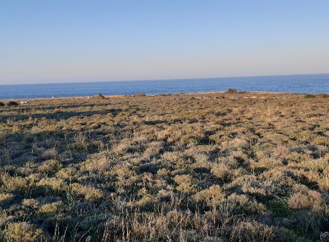 GİRNE,KARŞIYAKA'da denize SIFIR 19.5 dönüm YATIRIMLIK ARAZİ-  KAHVERENGİ imar bölgesi ,hem  KONUT hem de HOTEL amaçlı imara açıktır.  Doğan BORANSEL : 0533-8671911