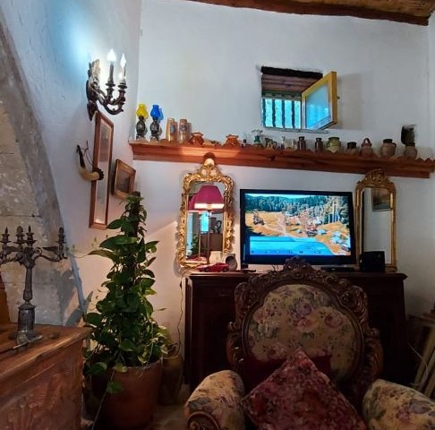 Historical Olive Mill House as BOUTIQUE HOTEL WITH 7 ROOMS & Swimming Pool 