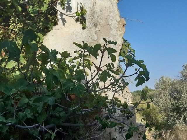 A potential renovation project for  whom likes an old stone house in Lapta 