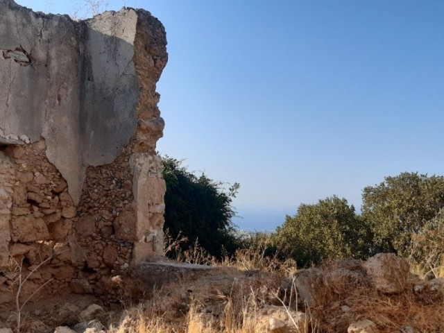 A potential renovation project for  whom likes an old stone house in Lapta 