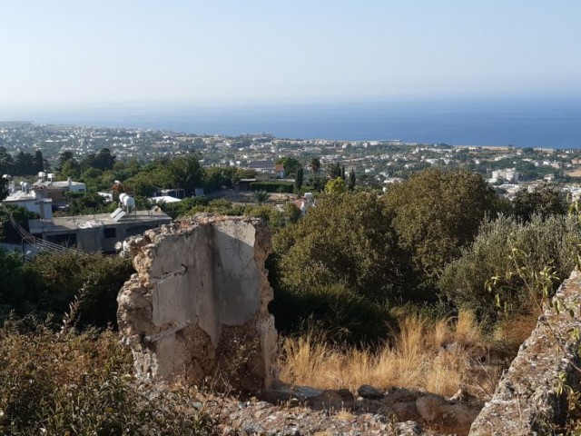 A potential renovation project for  whom likes an old stone house in Lapta 