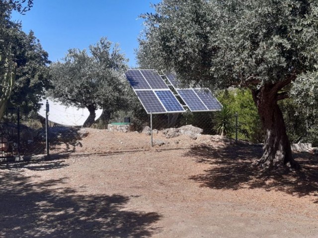 Steinhaus mit großem Garten in Kyrenia, ALSANCAK 3 + 1 in der Nähe des Zentrums ** 