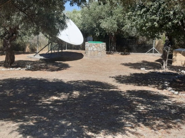 BEAUTIFUL STONE BUNGALOW WITH 3 BEDROOMS and LARGE GARDEN WITH OLIVE TREES and water well 