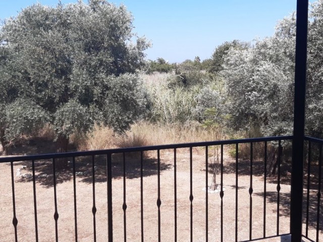 BEAUTIFUL STONE BUNGALOW WITH 3 BEDROOMS and LARGE GARDEN WITH OLIVE TREES and water well 