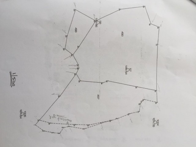 3 Dön.+1 Evlek GRUNDSTÜCK IN KYRENIA/LAPTA INNERHALB VON WÄLDERN – SUCHT SEINEN BESONDEREN KÄUFER