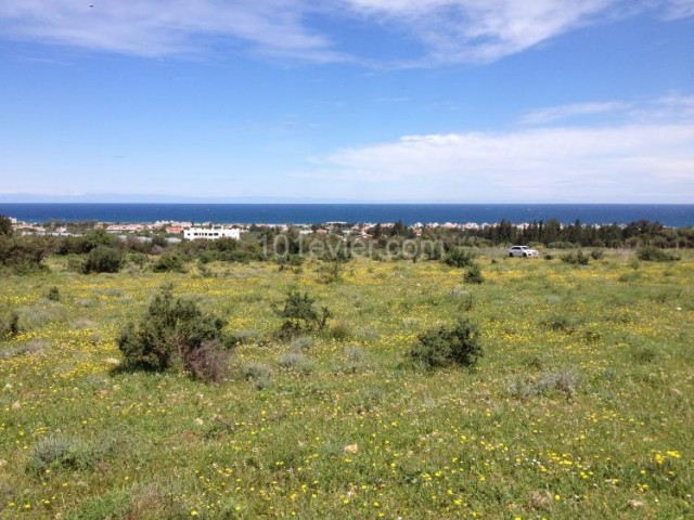 5 DECLARES OF LAND FOR INVESTMENT PURPOSES IN LAPTA, Kyrenia: Doğan BORANSEL Mobile: +90533-8671911