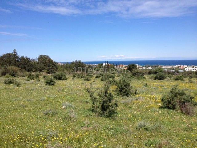 5 DECLARES OF LAND FOR INVESTMENT PURPOSES IN LAPTA, Kyrenia: Doğan BORANSEL Mobile: +90533-8671911