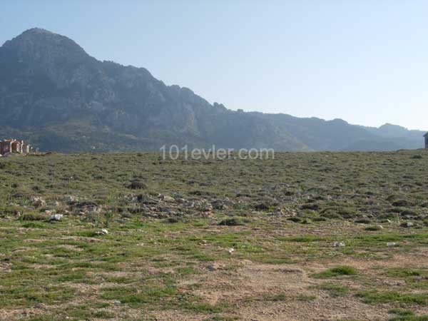 Girne KARŞIYAKA'da DENİZE SIFIR TÜRK MALI ARAZİ 