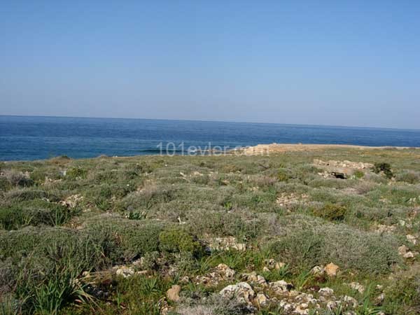 Girne KARŞIYAKA'da DENİZE SIFIR TÜRK MALI ARAZİ 