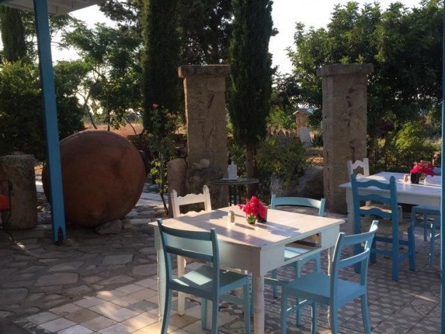 BEAUTIFUL RESTAURANT - APHRODITE RESTAURANT NEAR THE BEACH IN LAPTA- DOĞAN BORANSEL 0533-8671911