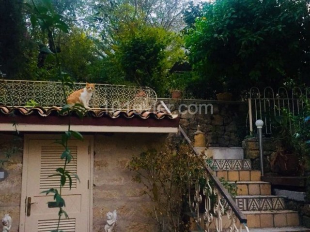 Einfamilienhaus  in Lapta, Kyrenia