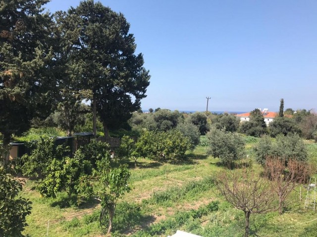 Eine ausgezeichnete Villa mit 220 m2 großem Garten, Meer- und Bergblick und großen Terrassen in Lapta, Girne: Doğan Boransel 0533-8671911