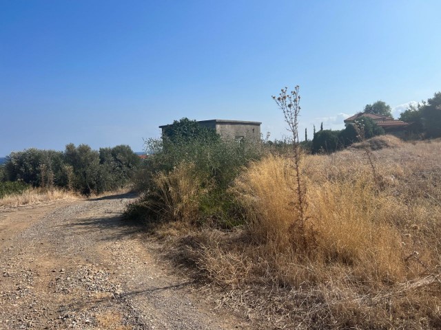 Herrliches Grundstück von 3.140 m2 in Lapta, Kyrenia – Doğan BORANSEL: 0533-8671911