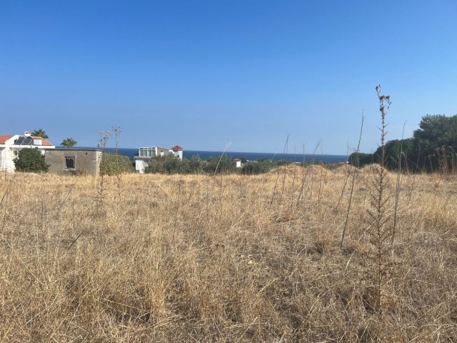 Herrliches Grundstück von 3.140 m2 in Lapta, Kyrenia – Doğan BORANSEL: 0533-8671911