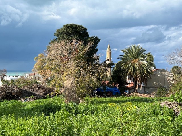 Steinhaus mit herrlichem Meer- und Bergblick in GİRNE Lapta, speziell für seinen Kunden TÜRK KOÇANLI in sehr gutem, restaurierungsbedürftigem Zustand / mit Garten – Doğan BORANSEL: +90-533-8671911