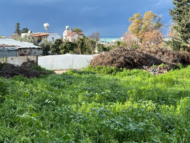 Steinhaus mit herrlichem Meer- und Bergblick in GİRNE Lapta, speziell für seinen Kunden TÜRK KOÇANLI in sehr gutem, restaurierungsbedürftigem Zustand / mit Garten – Doğan BORANSEL: +90-533-8671911