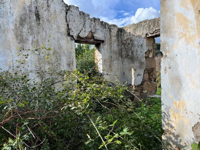 Steinhaus mit herrlichem Meer- und Bergblick in GİRNE Lapta, speziell für seinen Kunden TÜRK KOÇANLI in sehr gutem, restaurierungsbedürftigem Zustand / mit Garten – Doğan BORANSEL: +90-533-8671911