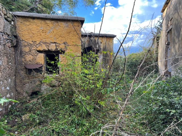 Steinhaus mit herrlichem Meer- und Bergblick in GİRNE Lapta, speziell für seinen Kunden TÜRK KOÇANLI in sehr gutem, restaurierungsbedürftigem Zustand / mit Garten – Doğan BORANSEL: +90-533-8671911