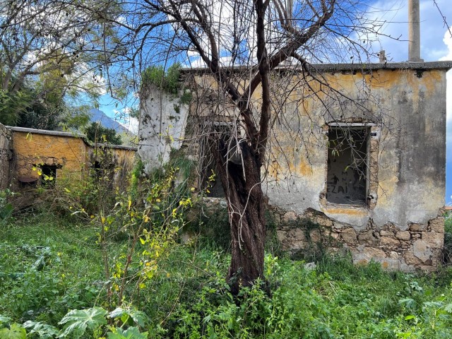 Exclusive Stone House  TURKISH TITLE  in Lapta with beautiful  garden and stunning sea and mountain views - Doğan BORANSEL   : +90533-8671911