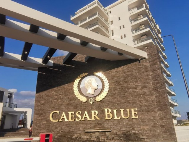 Caesar Blue 1+1 for sale