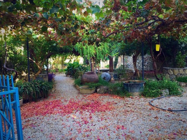 Einfamilienhaus Mieten in Lapta, Kyrenia