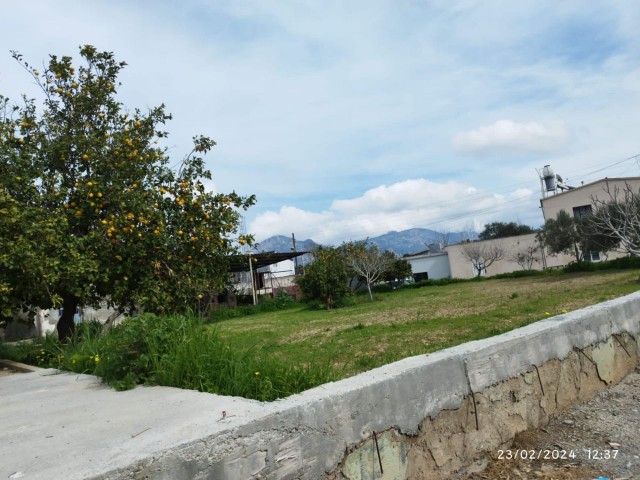 3+1 DETACHED HOUSE IN ÇAMLIBEL