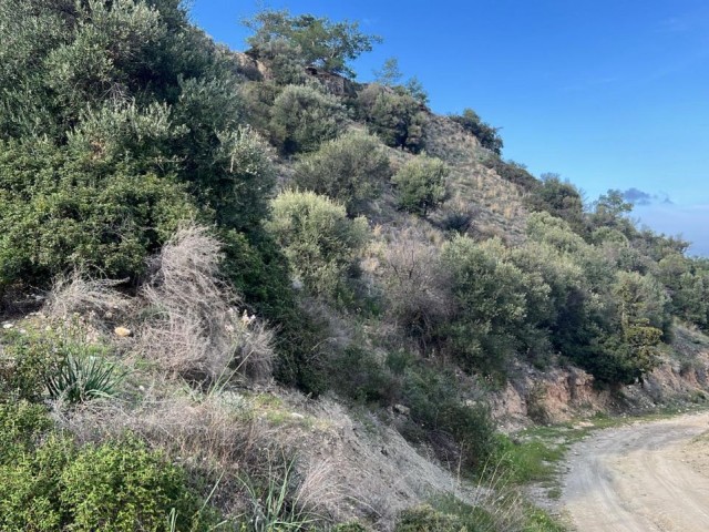 در گیرنه، روستای کراغاچ، 2 دونوم + 1 زمین معادل اولک، وضعیت منطقه بندی 35٪، جاده عمومی موجود است. Doğan BORANSEL : +90-5338671911