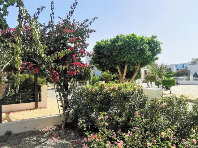 Satılık yarı müstakil villa 3+1 Caesar Beach mükemmel durumda