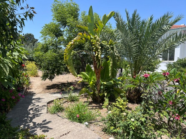 EIN ATEMBERAUBENDES HAUS IN GIRNE, KARŞIYAKA MIT EINEM EINSTÖCKIGEN BUNGALOW IN SEHR GUTEM ZUSTAND UND 1.761 m2 GARTEN UND WASSERBRUNNEN: DOĞAN BORANSEL: Mobil/WhatsApp: +90-5338671911