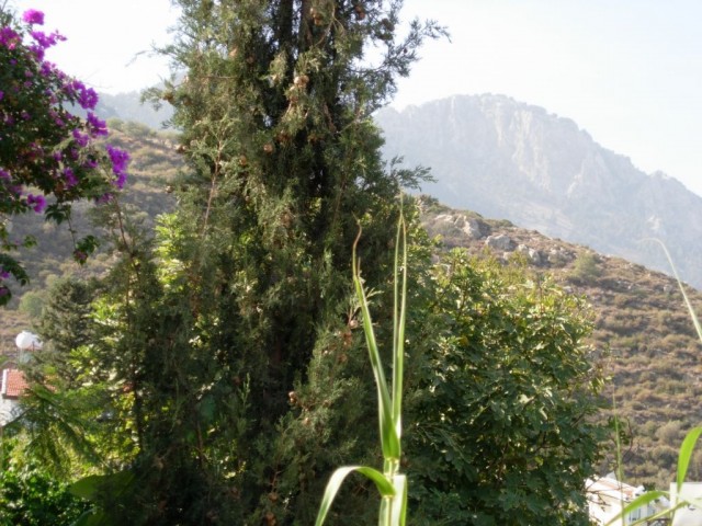 Eben Mieten in Lapta, Kyrenia