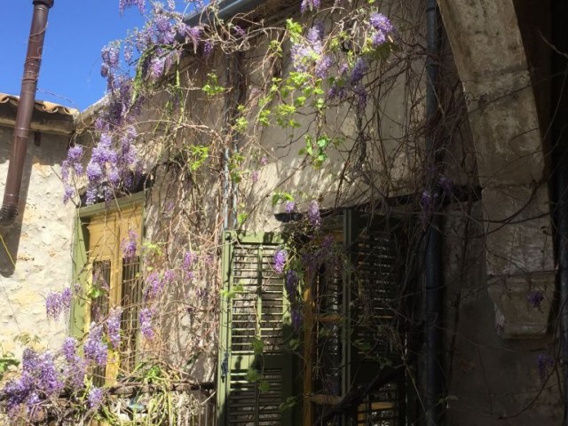 Eben Mieten in Lapta, Kyrenia