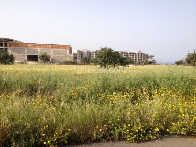 ویلا برای فروش in Arapköy, گیرنه