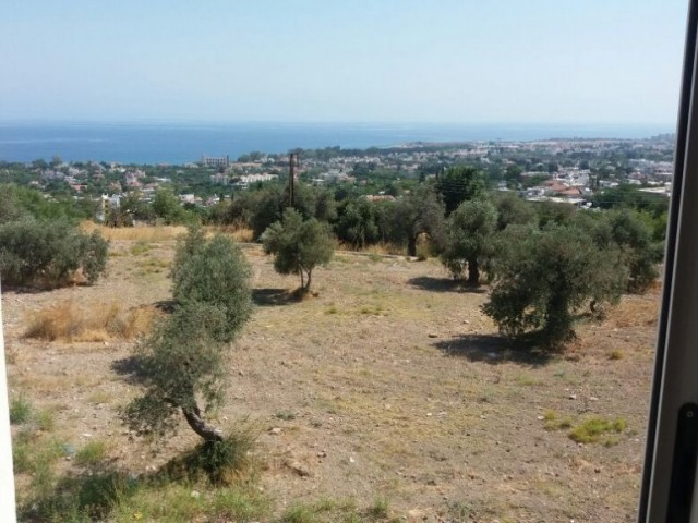 Super Meerblick 2+1 Wohnung in Lapta - Kyrenia