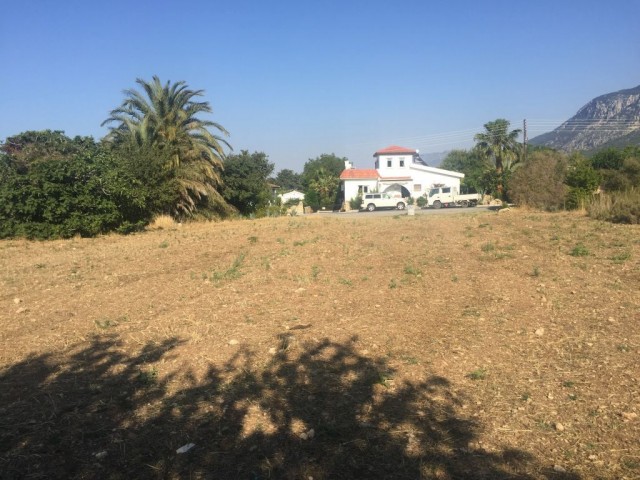 A BUILDING PLOT in  KYRENIA , Karşıyaka village : Contact : Doğan Boransel 0533-8671911