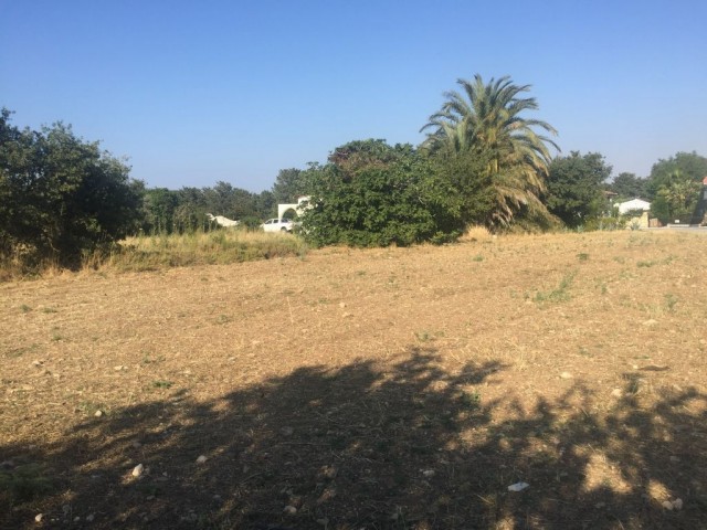 A BUILDING PLOT in  KYRENIA , Karşıyaka village : Contact : Doğan Boransel 0533-8671911