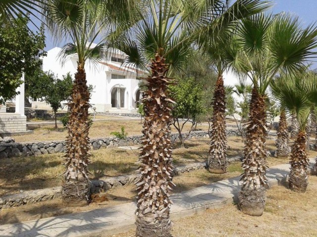 Hotel Kaufen in Çatalköy, Kyrenia