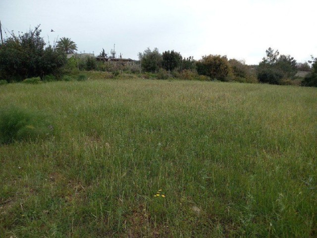 In Sipahi, innerhalb des Dorfes, stehen 5 Hektar zur Bebauung offenes Grundstück mit einem alten Haus, Strom, Straße und Wasser, Oliven- und Mandelbäumen sowie einem Brunnen zum Verkauf, das für alle Arten von Investitionen geeignet ist.