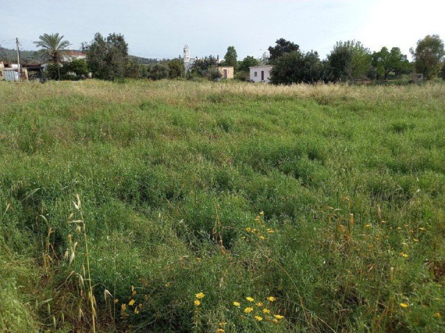 In Sipahi, within the village, 5 decares of land, open for development, with an old house, Electricity, road and water, Olive and Almond trees, Water well, suitable for all kinds o