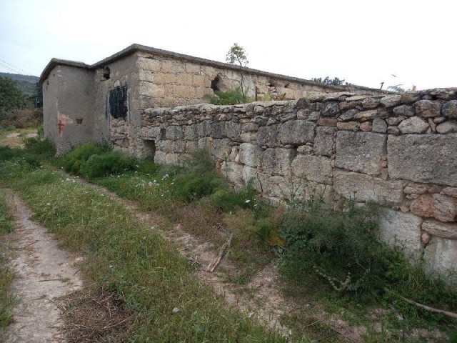 In Sipahi, within the village, 5 decares of land, open for development, with an old house, Electricity, road and water, Olive and Almond trees, Water well, suitable for all kinds of investments, is for sale.