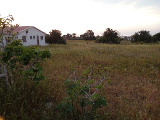 خانه پیش ساخته 2+1 دو نفره در روستای سپاهی در باغ 4 ساختمانی بدون مبله. چاه آب با سیستم غوطه وری فعال و نصب شده ذخیره سازی مناسب برای انواع سرمایه گذاری به فروش می رسد.